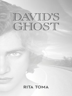 cover image of David's Ghost
